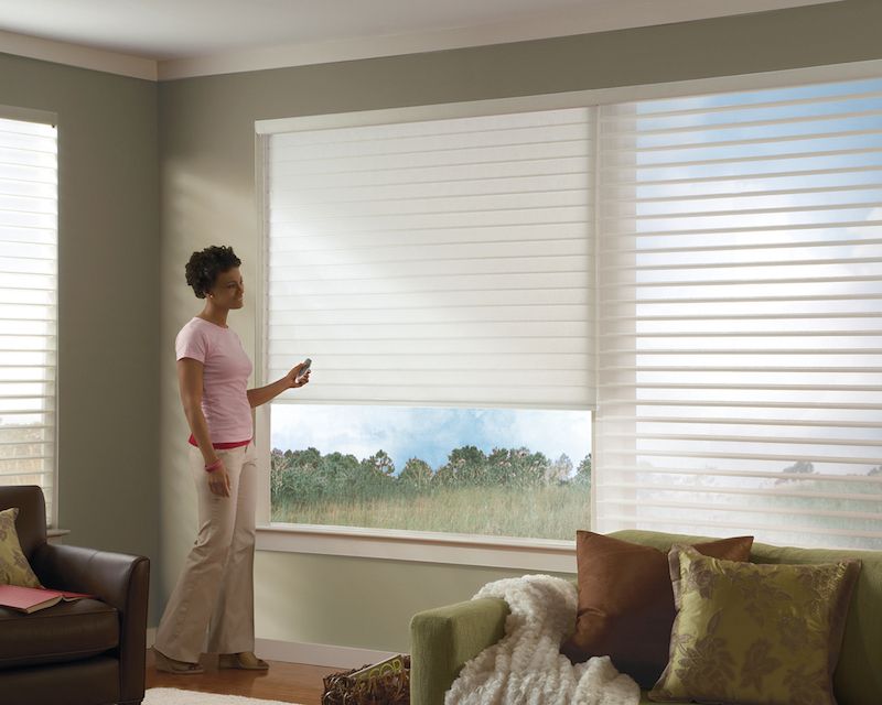 Hunter Douglas Silhouette Window Shades In Billings, MT