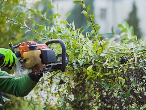 uk outdoor clearance