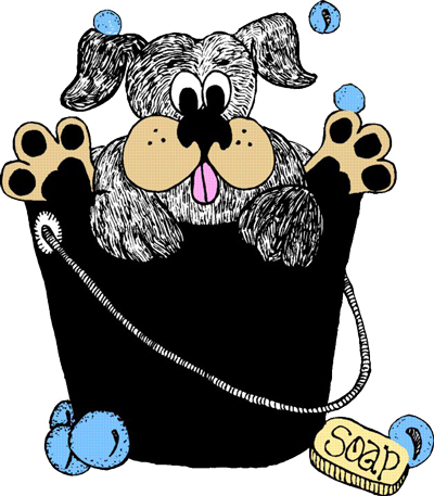 chain link kennel gate