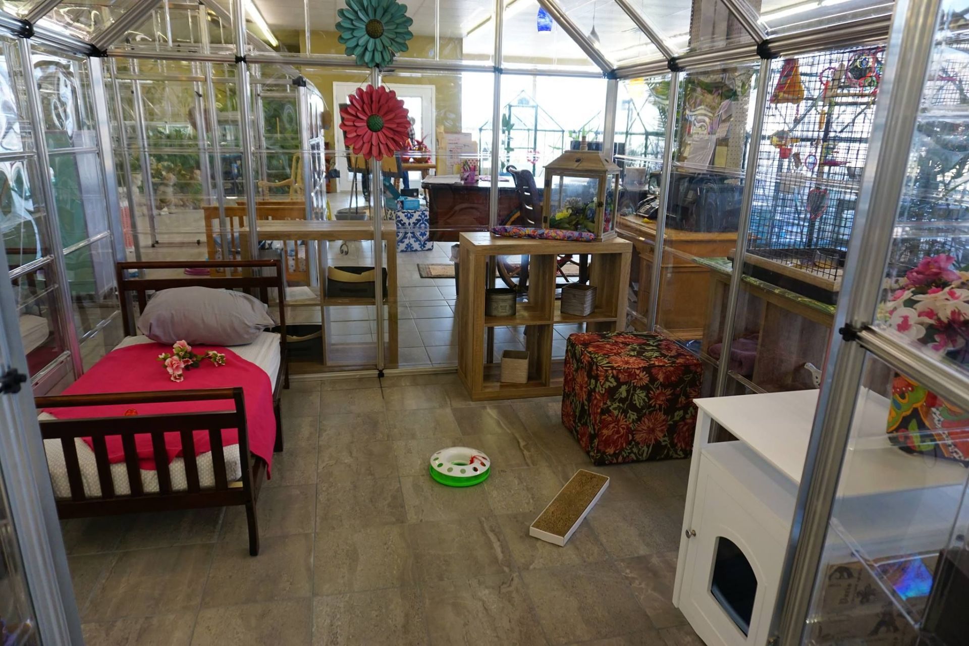 Cat Boarding Niles, MI Bunk & Biscuit