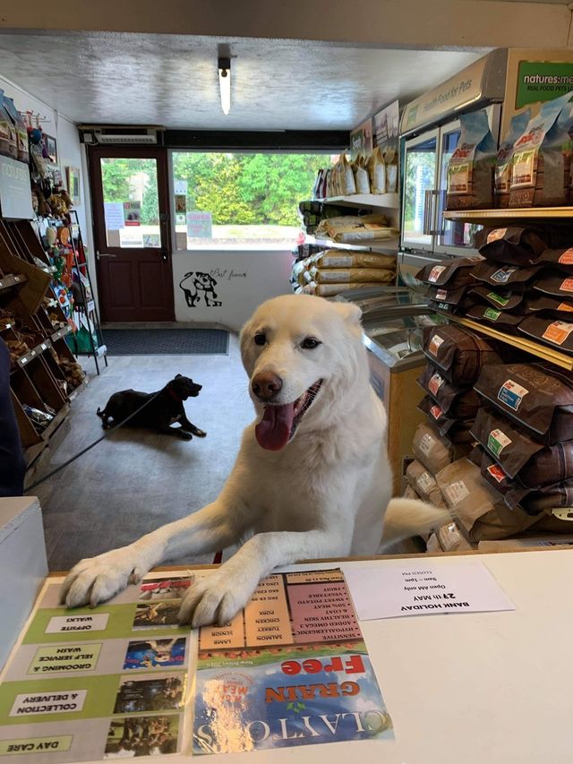 small animal boarding near me