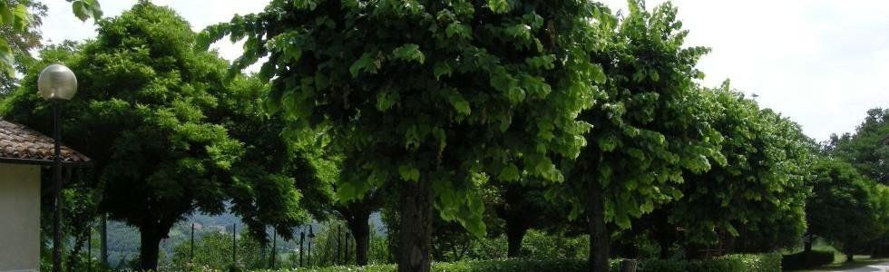 giardino dell'agriturismo