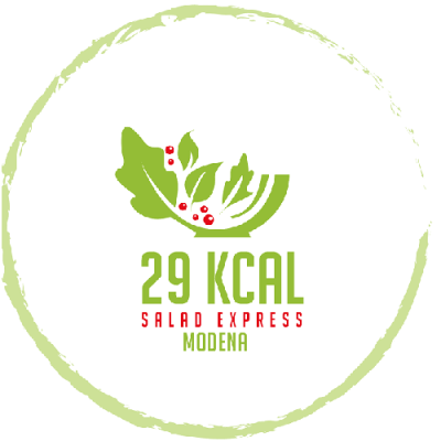 29kcal  logo