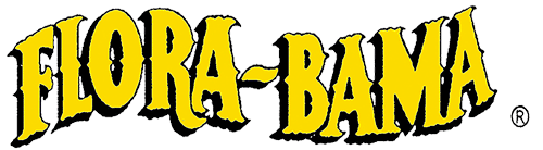 Best bar in Gulf Shores