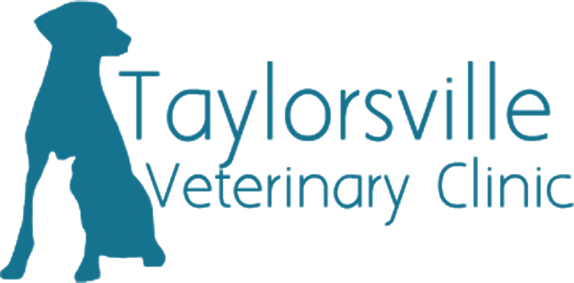 ridge road vet clinic