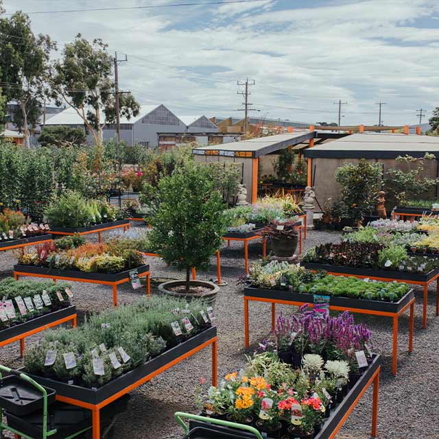 Garden Centre In Ballarat Vic Spot On Pots And Nursery