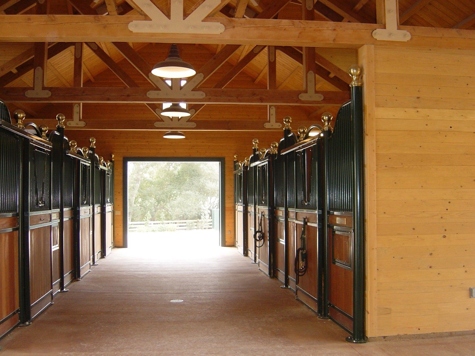 Loddon Equestrian Limited Raveningham, Norwich, Norfolk Gallery