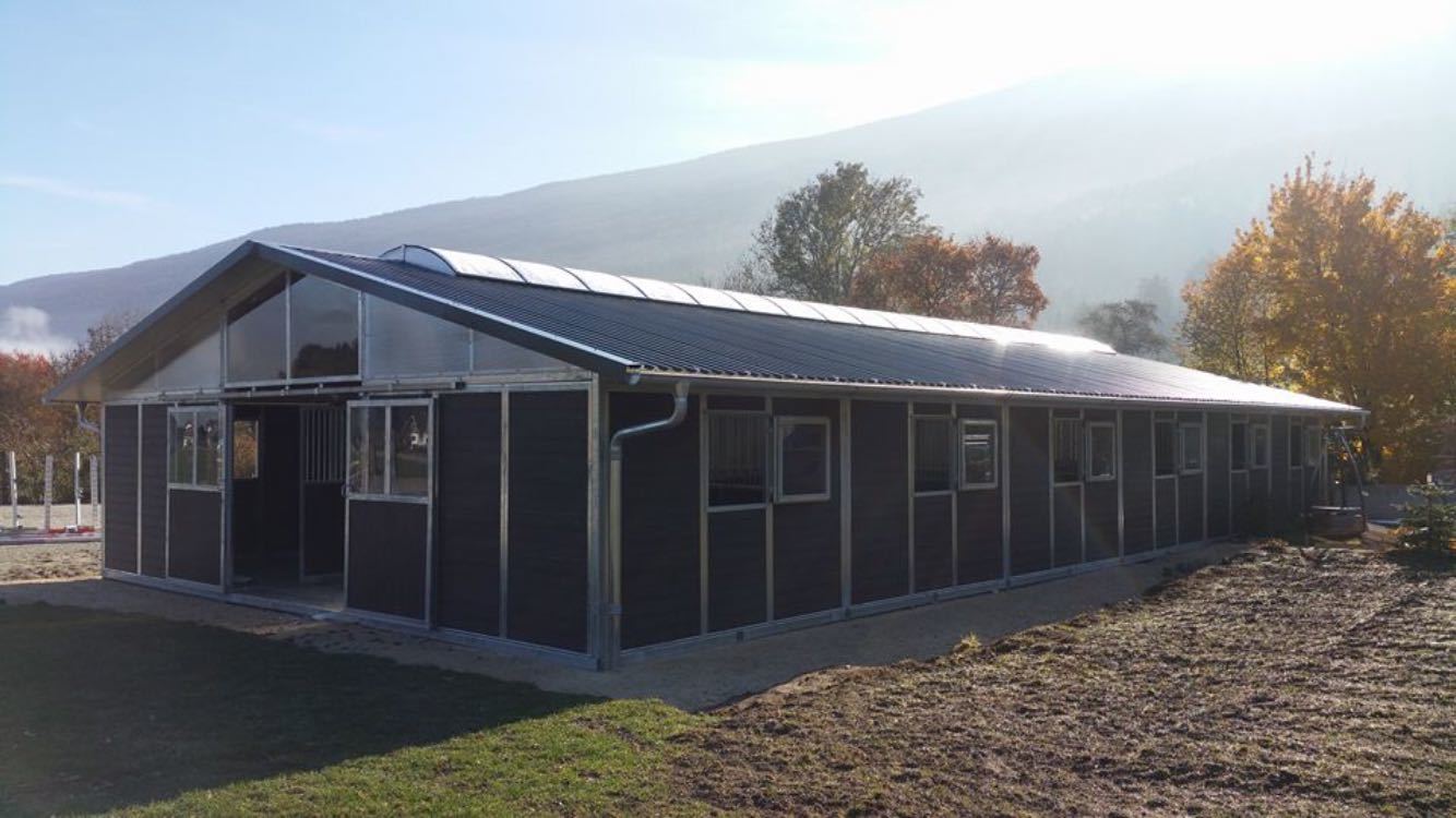 Loddon Equestrian Limited Raveningham, Norwich, Norfolk Gallery