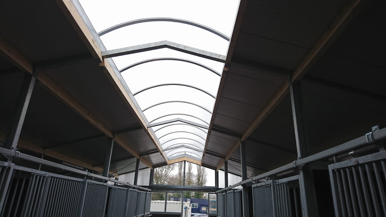 Loddon Equestrian Limited Raveningham, Norwich, Norfolk Gallery