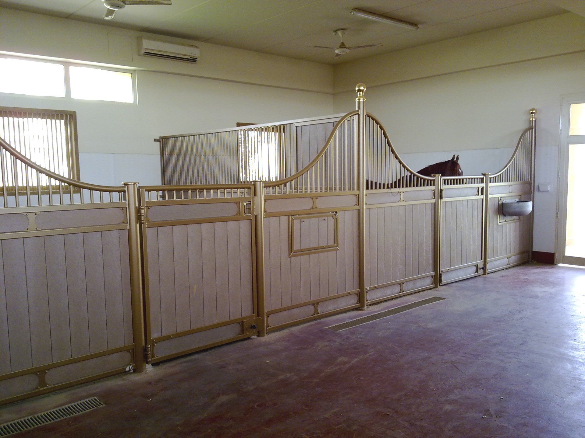 Loddon Equestrian Limited Raveningham, Norwich, Norfolk Gallery