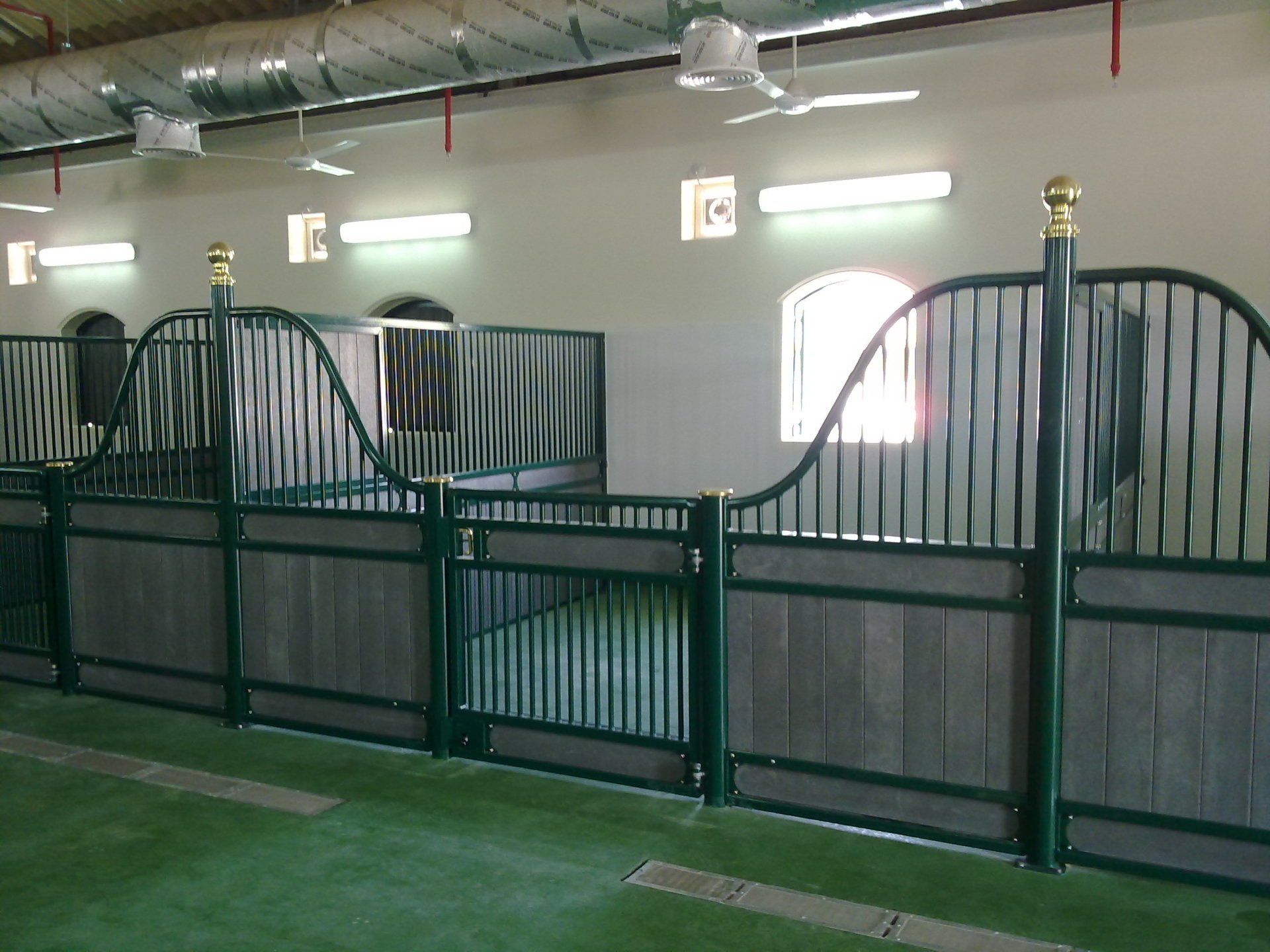 Loddon Equestrian Limited Raveningham, Norwich, Norfolk Gallery