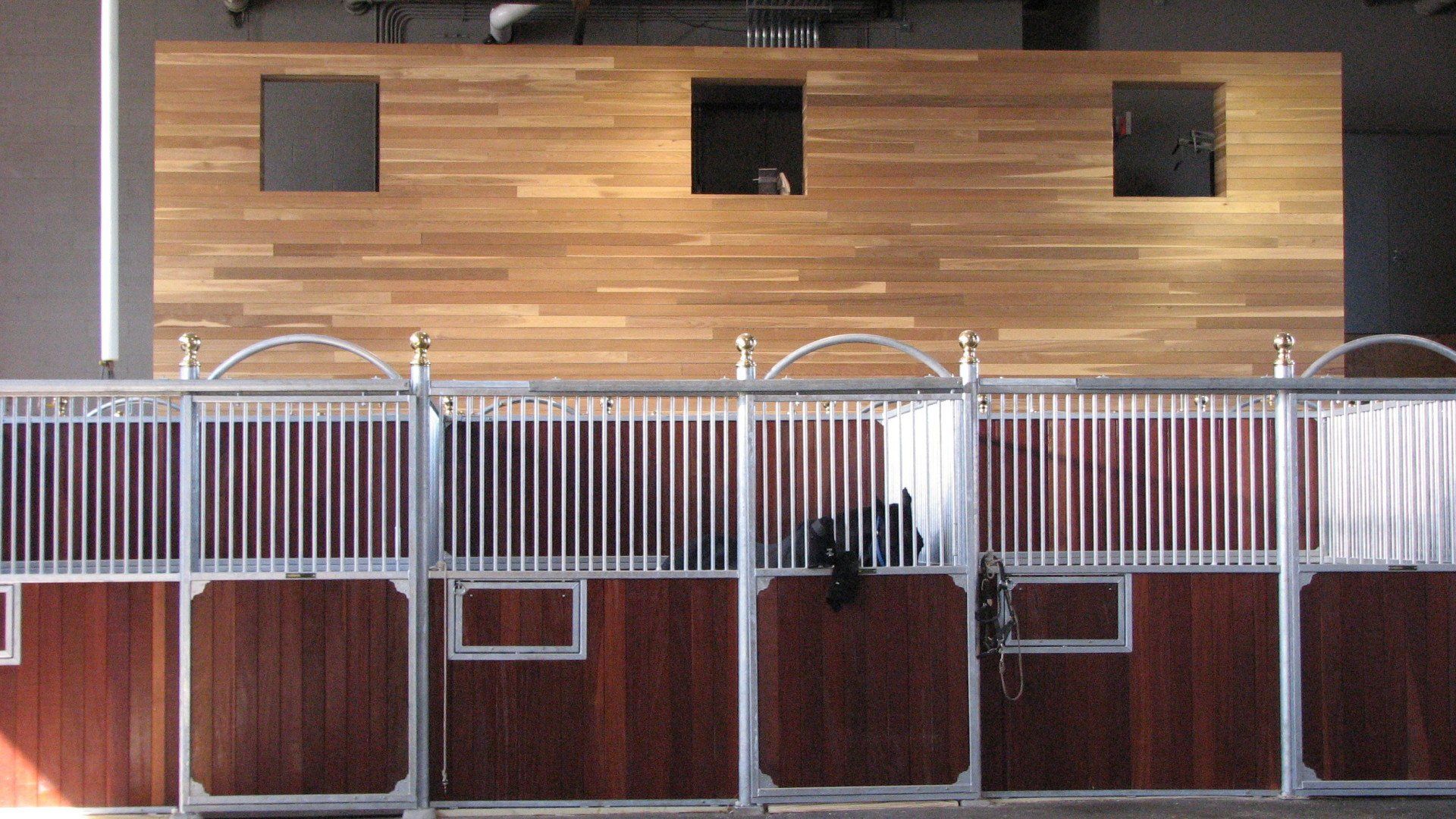 Loddon Equestrian Limited Raveningham, Norwich, Norfolk Gallery