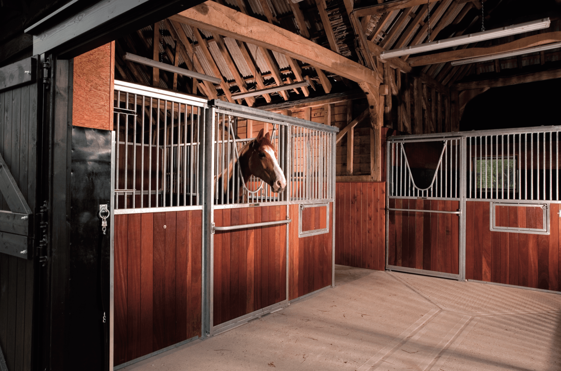 Loddon Equestrian Limited Raveningham, Norwich, Norfolk Gallery