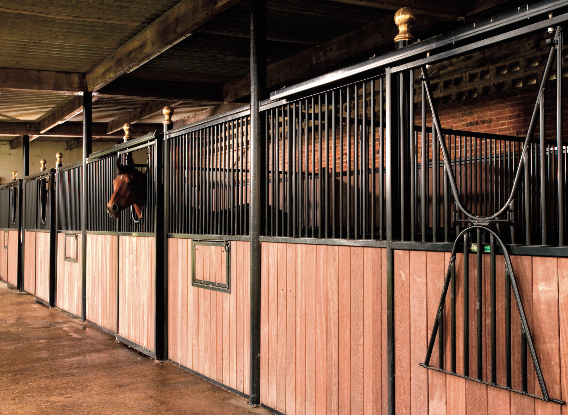 Loddon Equestrian Limited Raveningham, Norwich, Norfolk Gallery