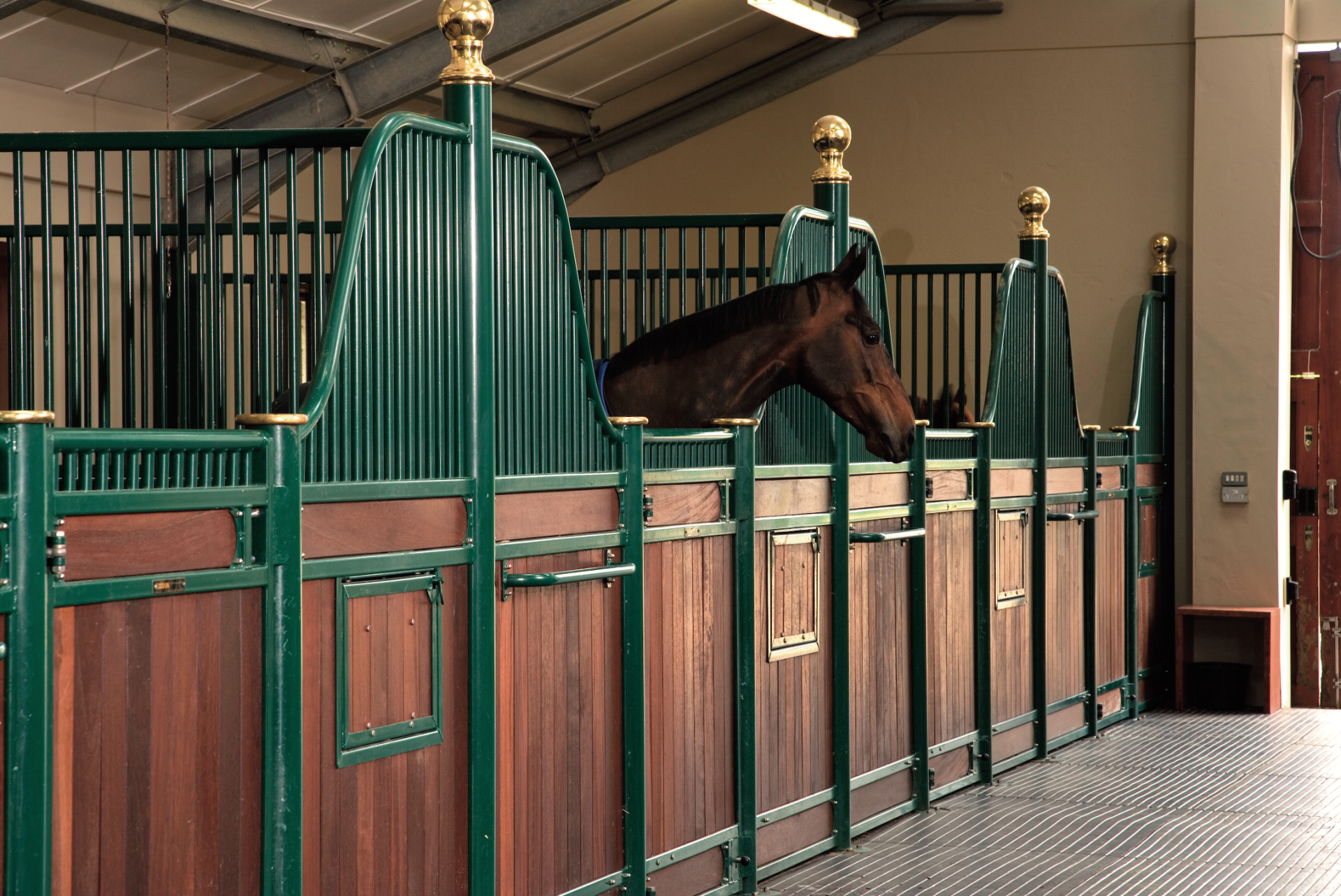 Loddon Equestrian Limited Raveningham, Norwich, Norfolk Gallery