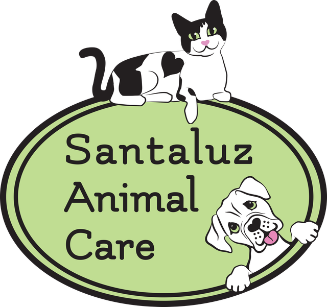 Vet Clinic In San Diego Carmel Valley Ca Animal Hospital