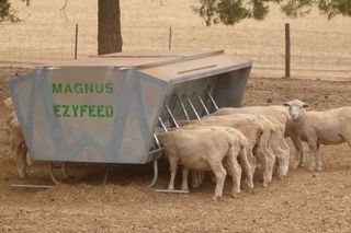 sheep hay feeder