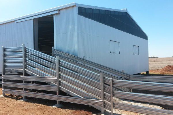 shearing shed designs and plans australia magnus australia