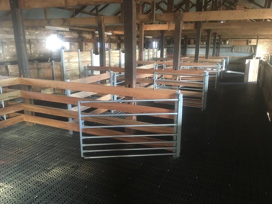 shearing shed designs and plans australia magnus australia