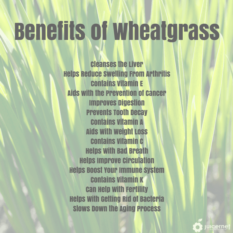 The Benefits of Wheatgrass