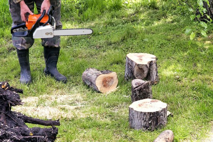 stump removal using chainsaw