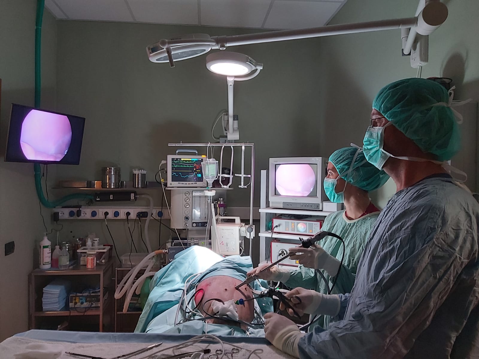 Chirurgia neurologica |Inverno e Monteleone| Ambulatorio Vet. S. Elia