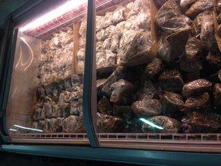 bulmers raw dog food near me