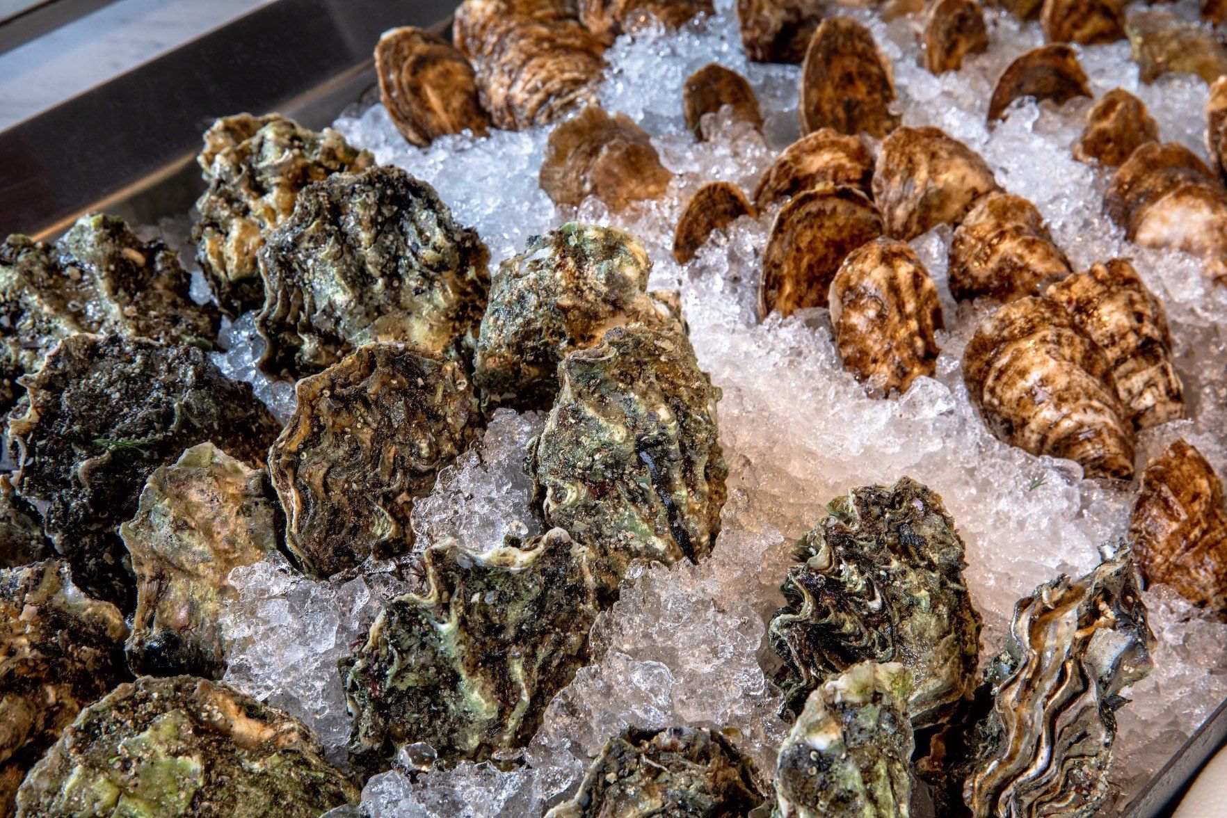 The Bay House Naples Waterfront Restaurant Brunch Dinner