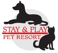 play and stay pet resort