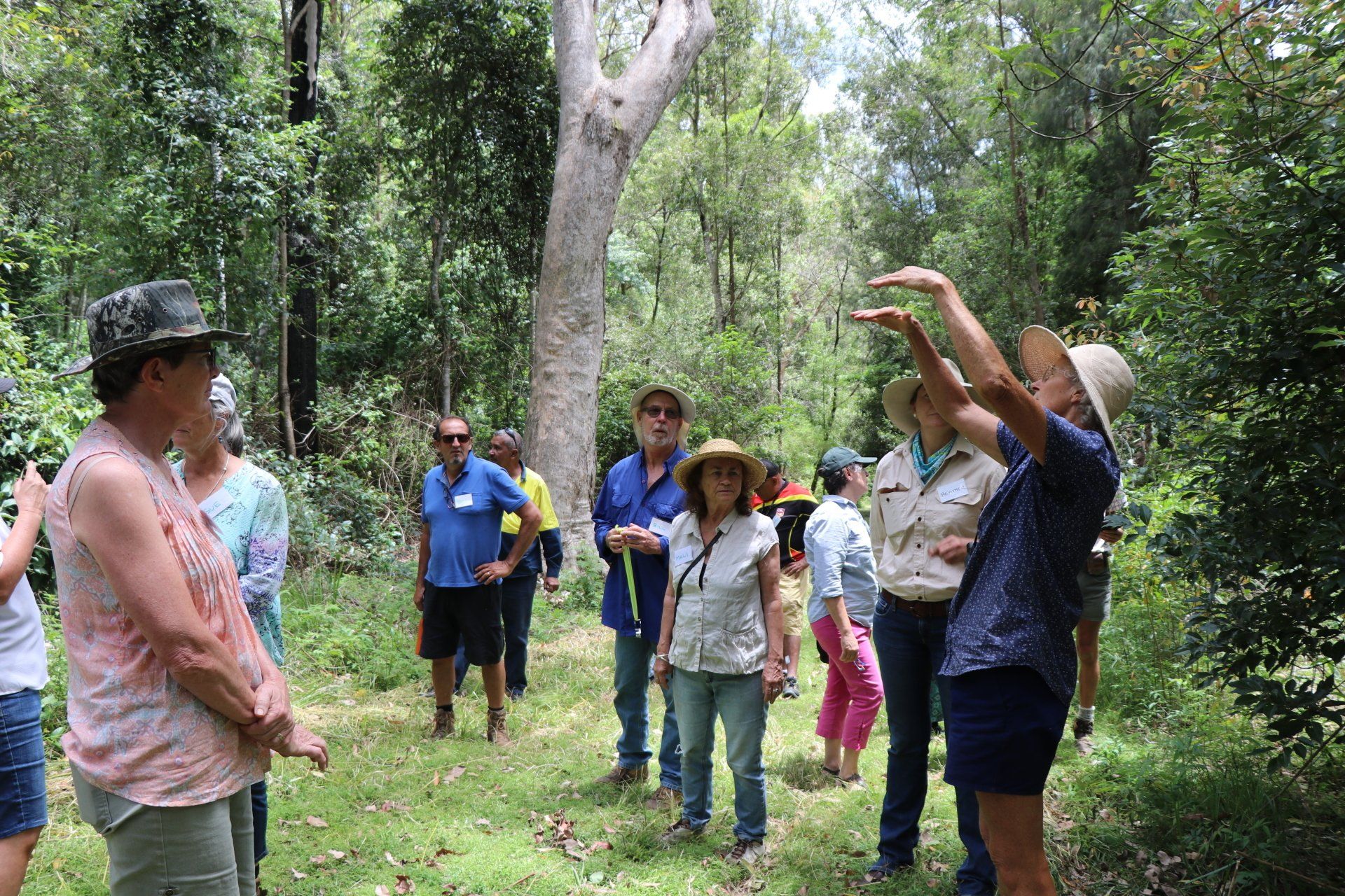 Nan Nicholson at  Roseberry Creek