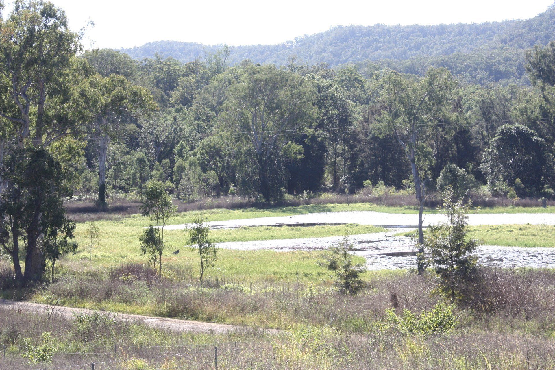 Looking down at the wetland on Busby's Flat Road