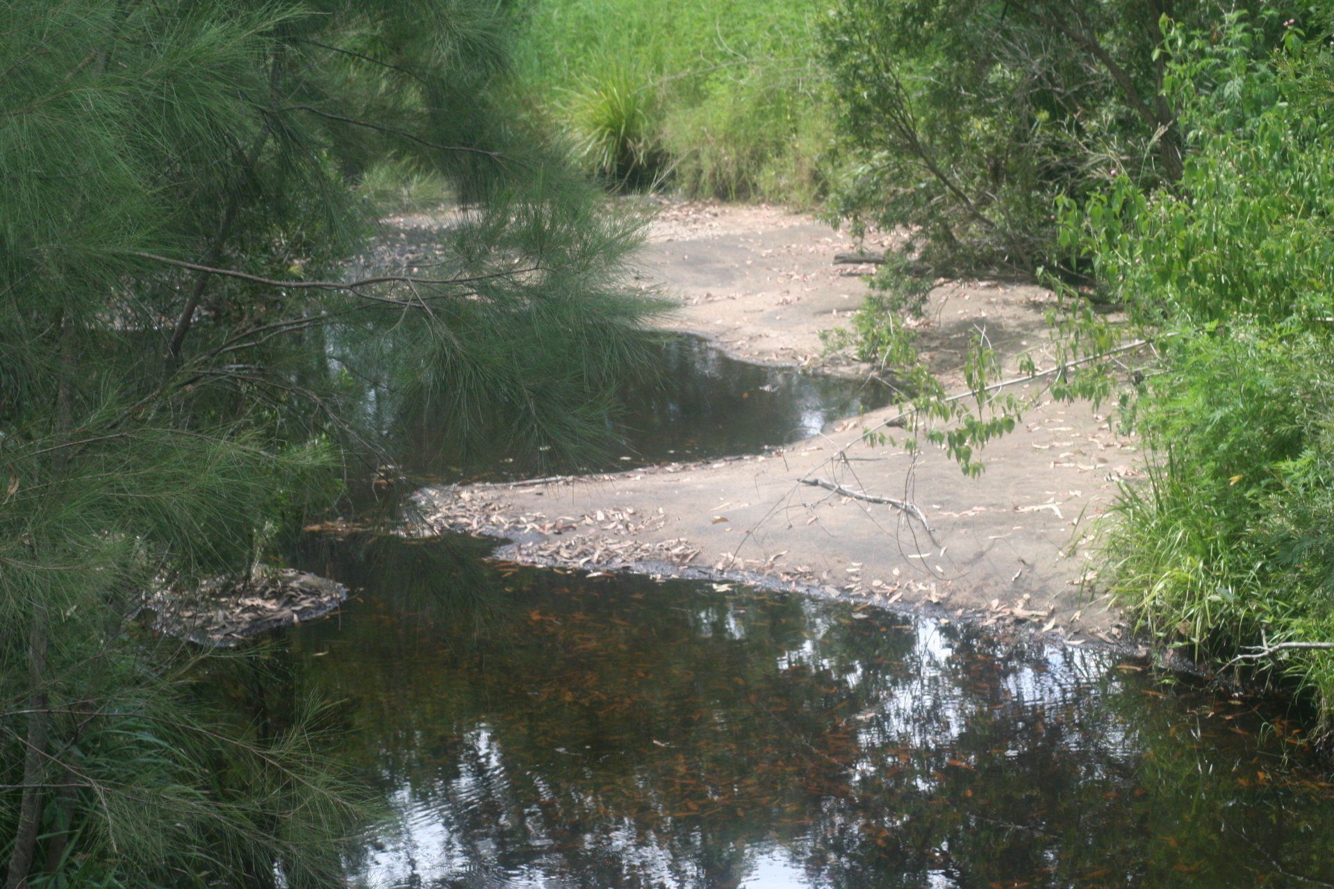 Busby's Creek at Wyan