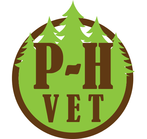 albion veterinary clinic