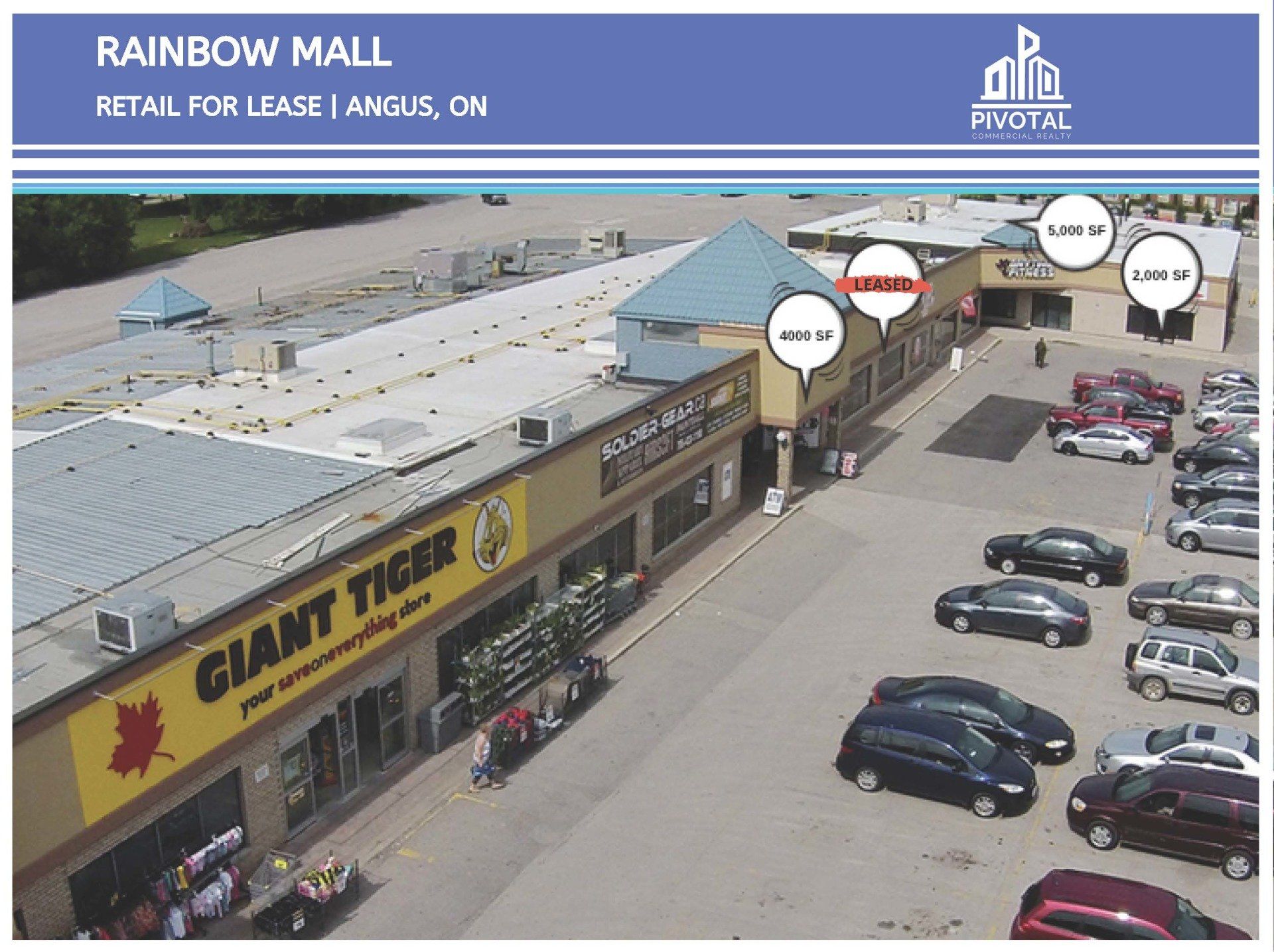 Pivotal Commercial Realty