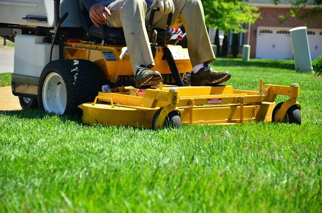 lawn care secrets