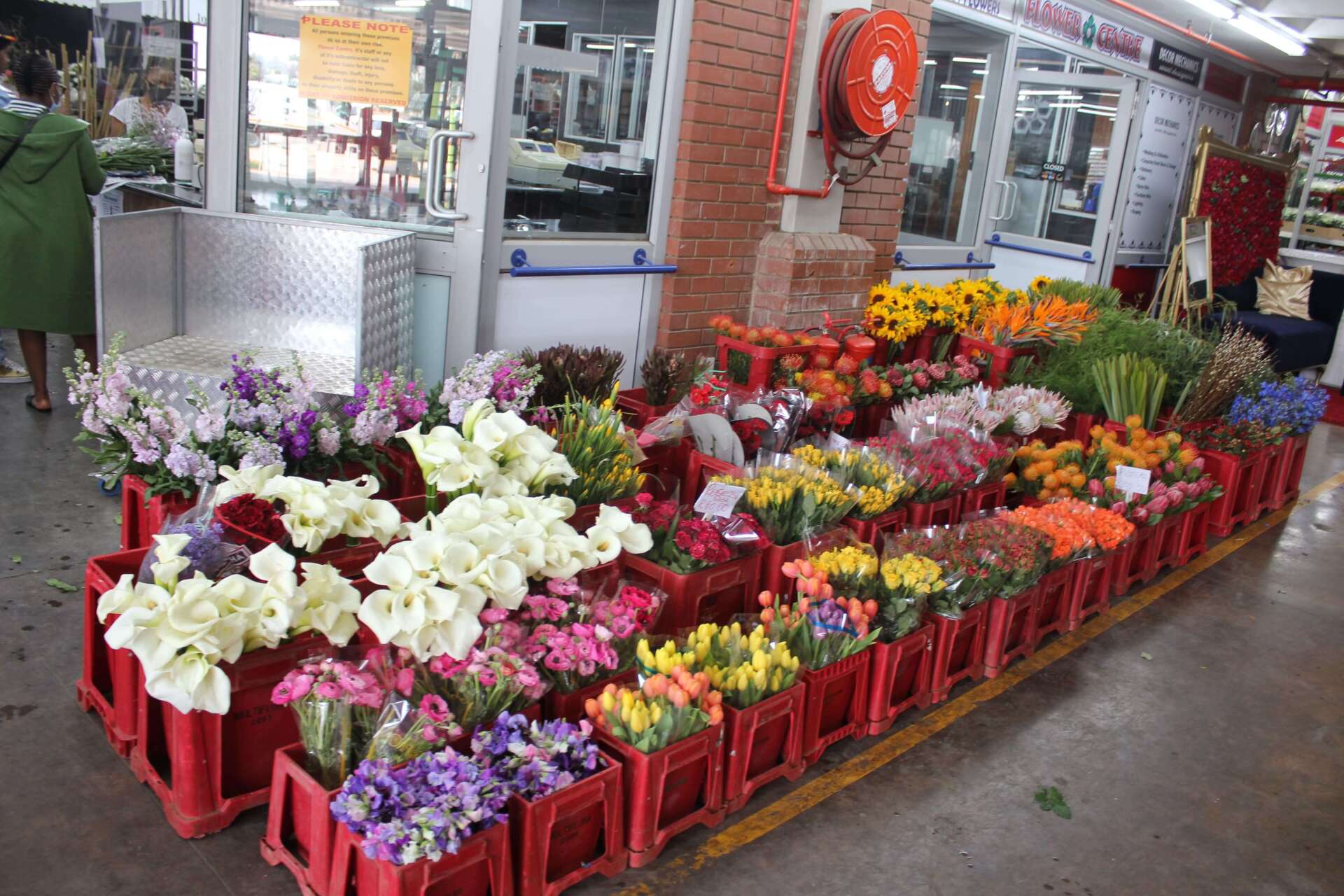 Multiflora A Florists Haven With Exquisite Blooms