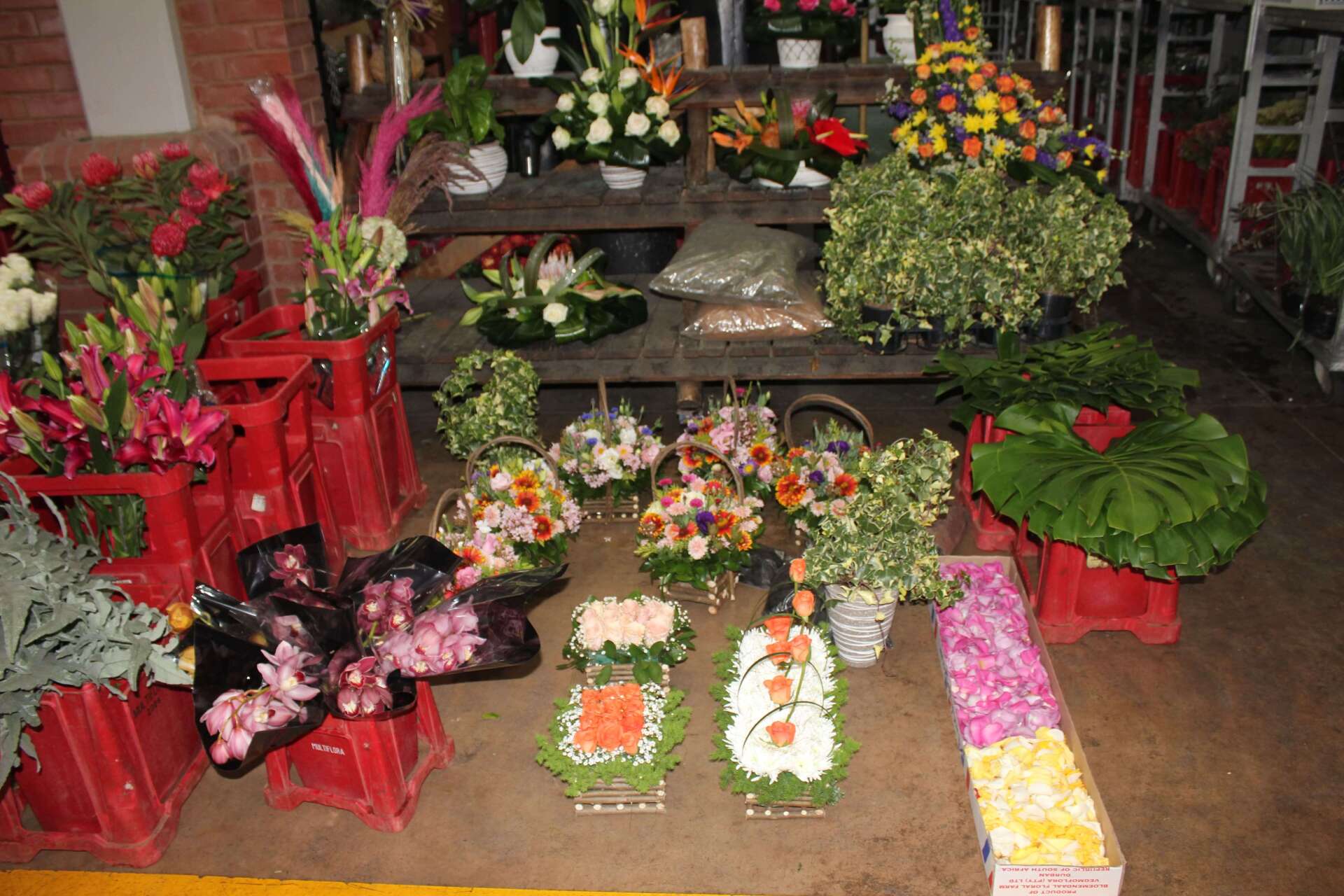 Multiflora Your Flower shop where flowers are worth a million words