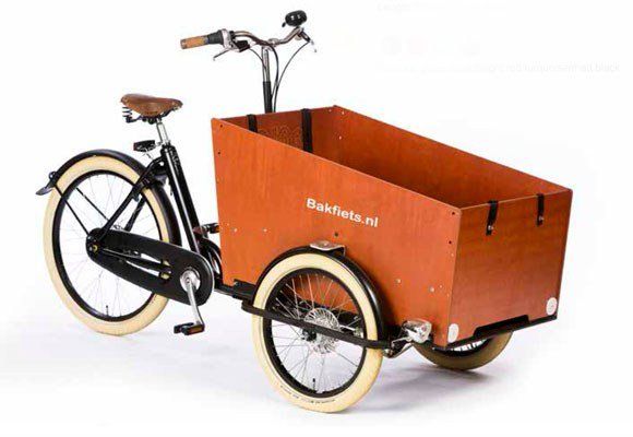 cargotrike cruiser wide steps