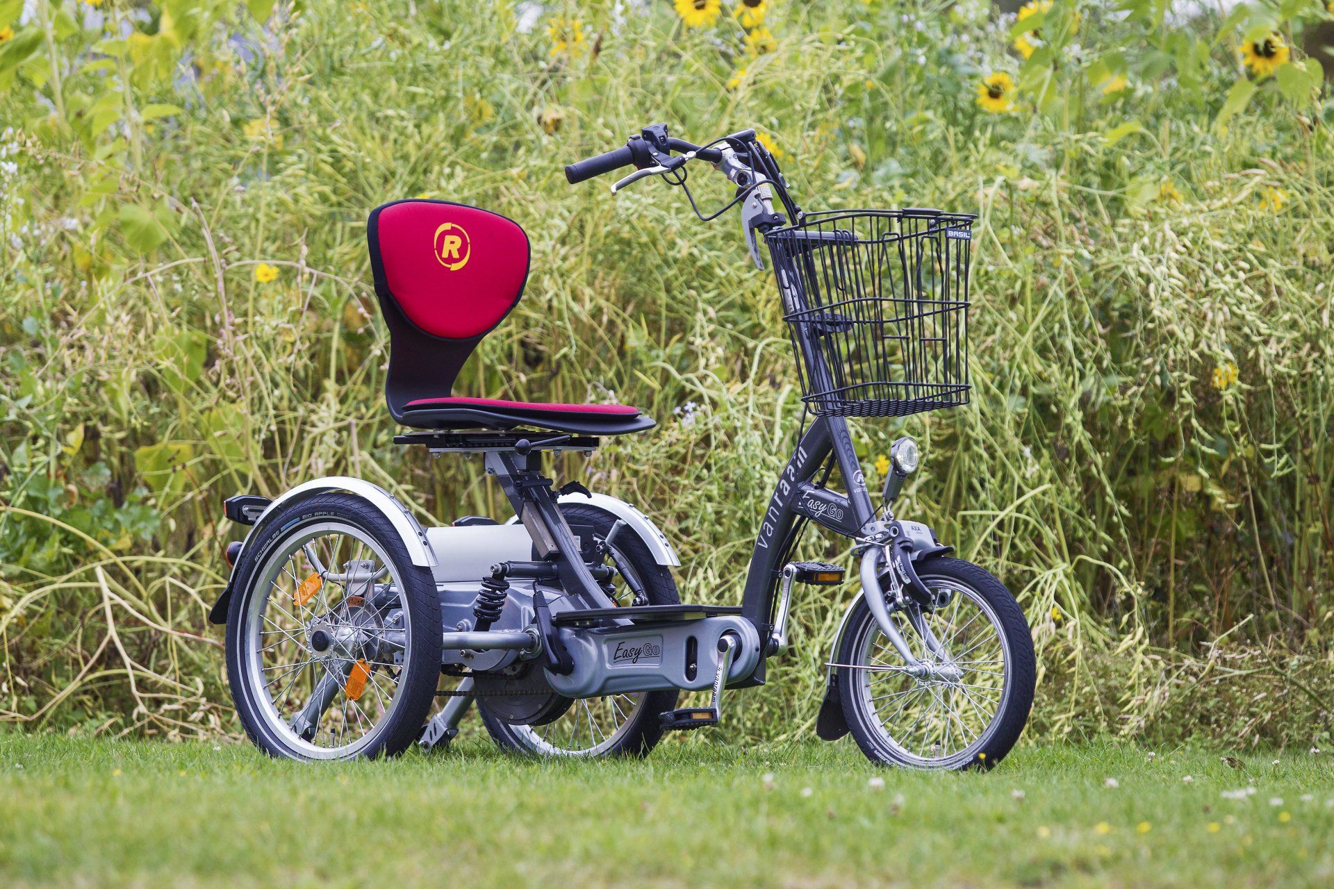 Get Cycling - Van Raam Easy Go Scooter Trike