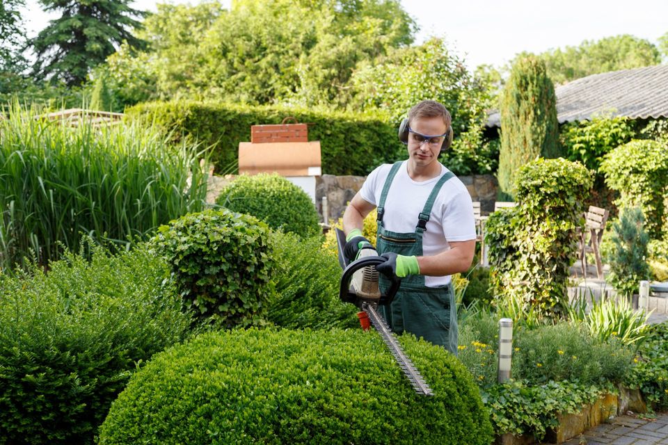 home - Bothell, WA - Davy D's Yard Maintenance