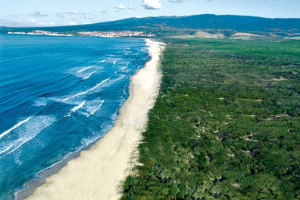 Notizie Sarde La Voce Dell Isola