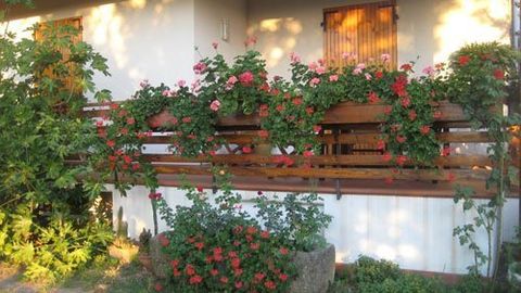 vista del giardino del bed and breakfast a cesena