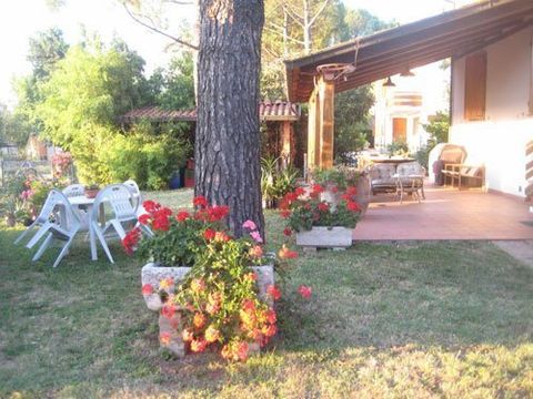 veranda e giardino con un alto albero