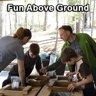 war eagle cavern on beaver lake  rogers arkansas 72756