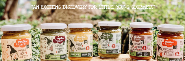 100 organic baby food