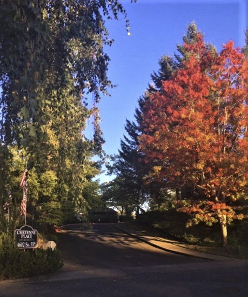 Properties Property Management by Crawford Katica, WA