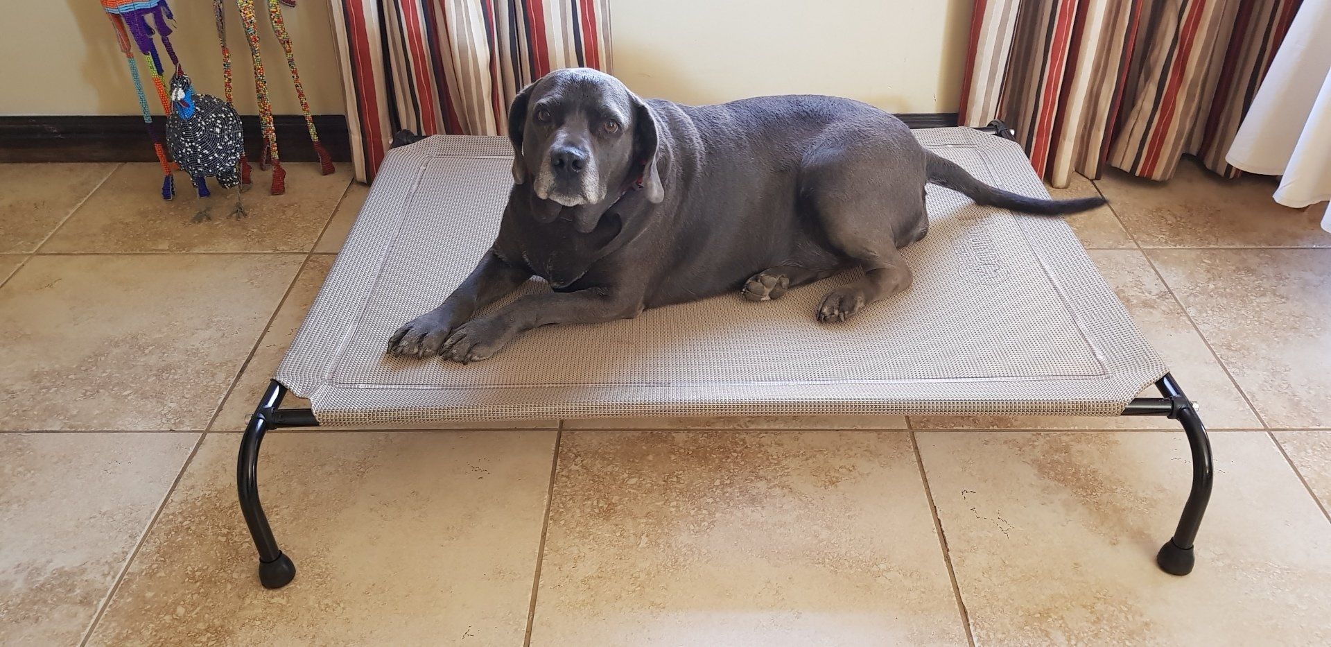 Hound Sleeper Dog Beds Products & Pricing