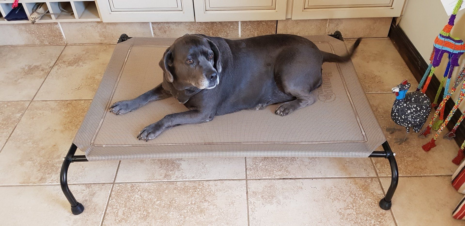 Hound Sleeper Dog Beds Products & Pricing