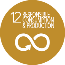Responsible Consumption & Production - Sustainable Development Goals
