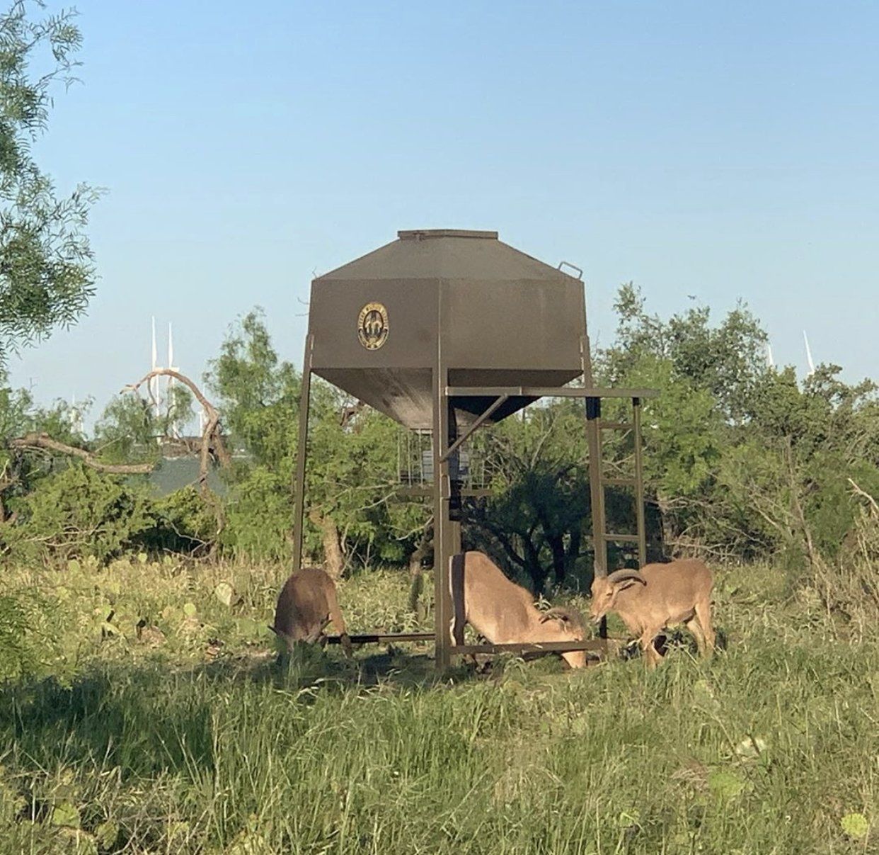 Deer Blinds, Deer Feeders, Feed Bins, Feed Jets Texas Wildlife Supply